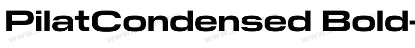 PilatCondensed Bold字体转换